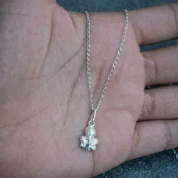 Pulpo cad040