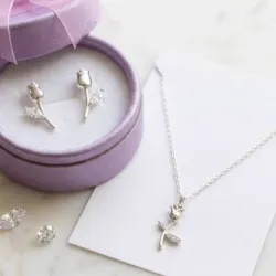 Tulipan 🌷 conj117