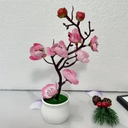 Bonsái de Flor de Ciruelo 
