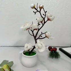 Bonsái de Flor de Ciruelo