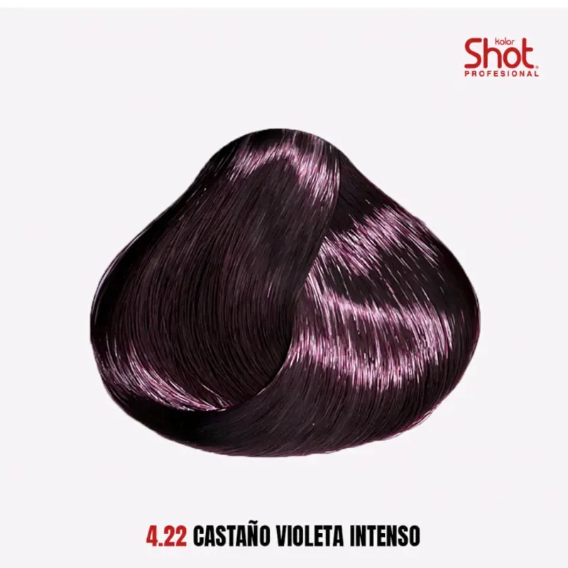 4.22 Castaño Violeta Intenso 