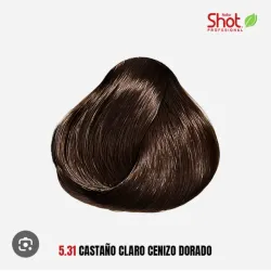 5.31 Castaño Claro Cenizo Dorado