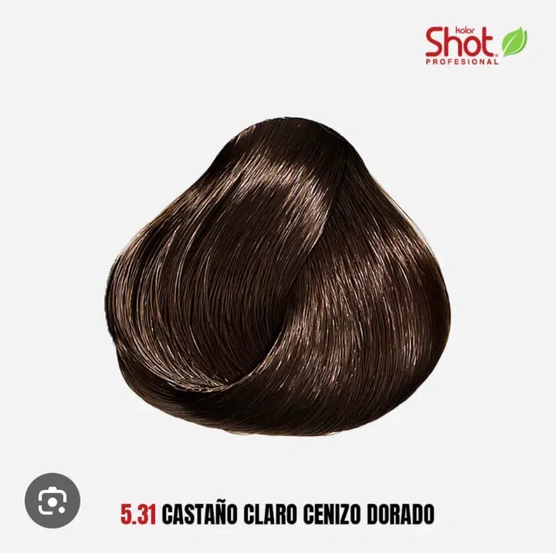 5.31 Castaño Claro Cenizo Dorado