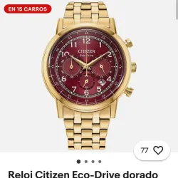 Citizen Ecodrive mens 43  mm red face