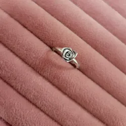 Anillo rosa floreciendo 