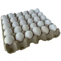 Huevos