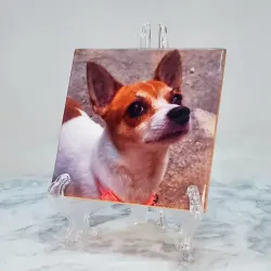 Loza de cerámica 10x10cm