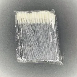 Lip Brush