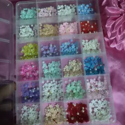 Cajas GRANDES de Flores de Resina 🎀