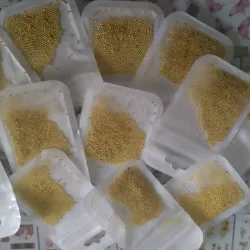 Paquetes de Balines Dorados