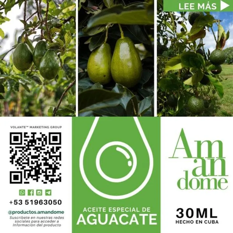 ACEITE DE AGUACATE 30ml