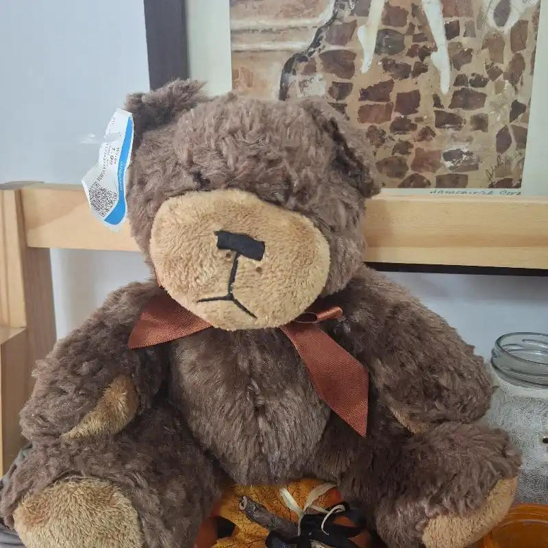 Oso 🐻