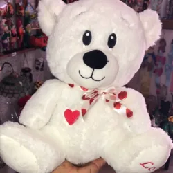 Oso de Peluche