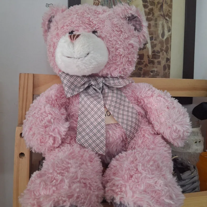 Peluche Oso 🧸 Rosado