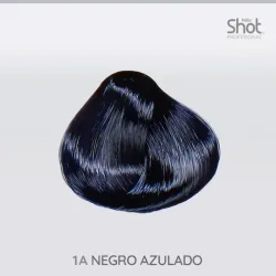 1A Negro azulado
