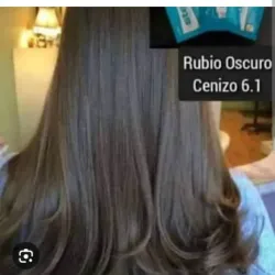 6.1 Rubio oscuro ceniso 