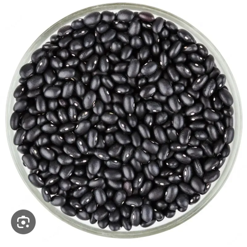Frijoles negros 