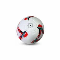 Pelota de futbol 