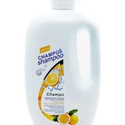 Champú Anticaspa