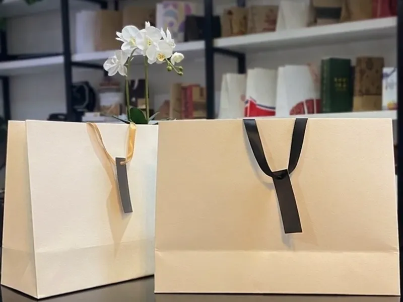 BOLSAS ELEGANTES PARA TIENDAS DE ROPA / BOUTIQUES 🛍✨️