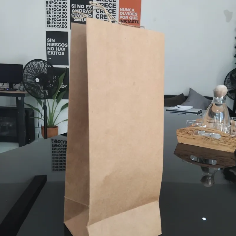 Bolsa Extragrande Modelo 1 (kraft)
