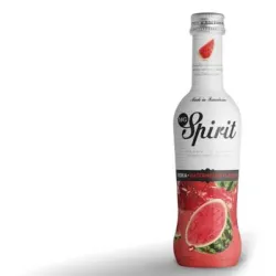 Combinado Vodka Melon 275ml c(106.16)