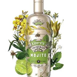 Mojito COPPA COCKTAIL 12X750mlX15% x(E0343)