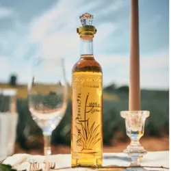 TEQUILA DON RAMON PUNTA DIAMANTE REPOSADO  1x06x750ML c(10138060)