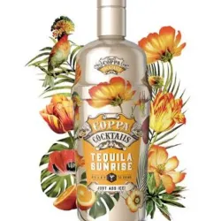TEQUILA SUNRISE COPPA COCKTAIL 12X75X15% c(E0353)