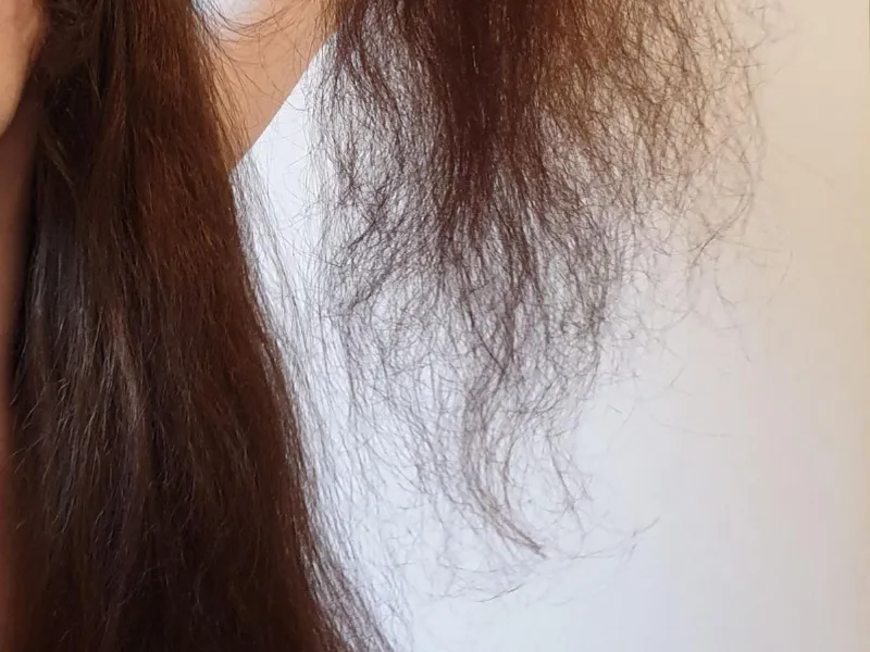 Cabello Seco, Dañado y Frizz