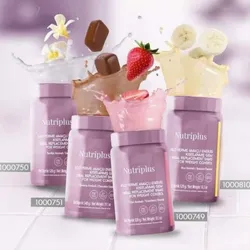 Batidos Nutriplus Sustitos de Comida 