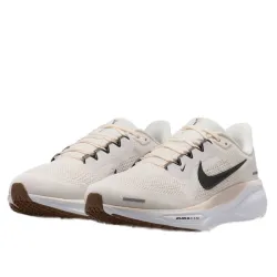 Nike Air Zoom Pegasus 41