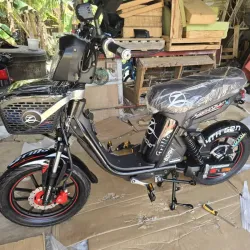 Bicimoto Mishozuki Grillo