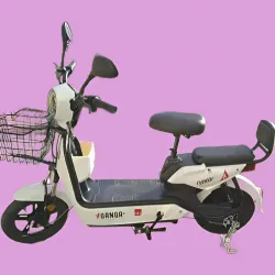 Motico Eléctrica GANGA