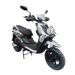 Moto Eléctrica Avispón Rhynox