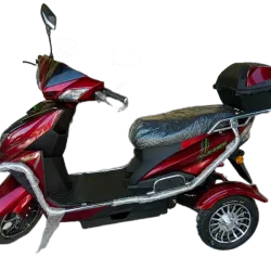 Moto Eléctrica RALI de 3 ruedas