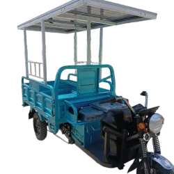 Triciclo PORTO BELLO mediano con Panel Solar