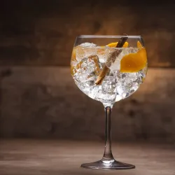 Cóctel Gin Tonic