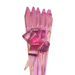 LAZO MAGICO 2 LINEAS DORADA ROSADO 25 X 2 CM