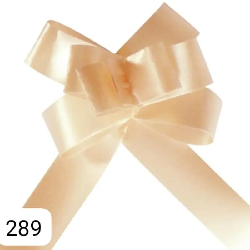 LAZO MAGICO BEIG LISO 45 X 2.5 CM