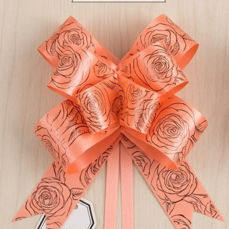 LAZO MAGICO SALMON LINEA DORADA 43 X 3 CM