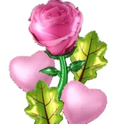SET GLOBO 5 PZAS ROSA