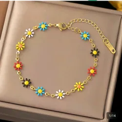 Margaritas multicolor