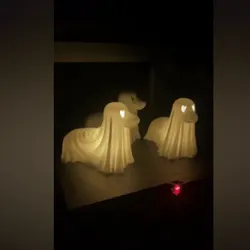 Perro fantasma 