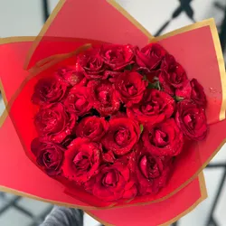 20 Rosas 🌹 