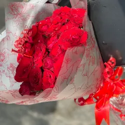 20 Rosas 🌹 