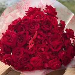 80 Rosas 