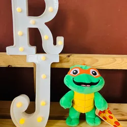 Tortuga 🥷 💚