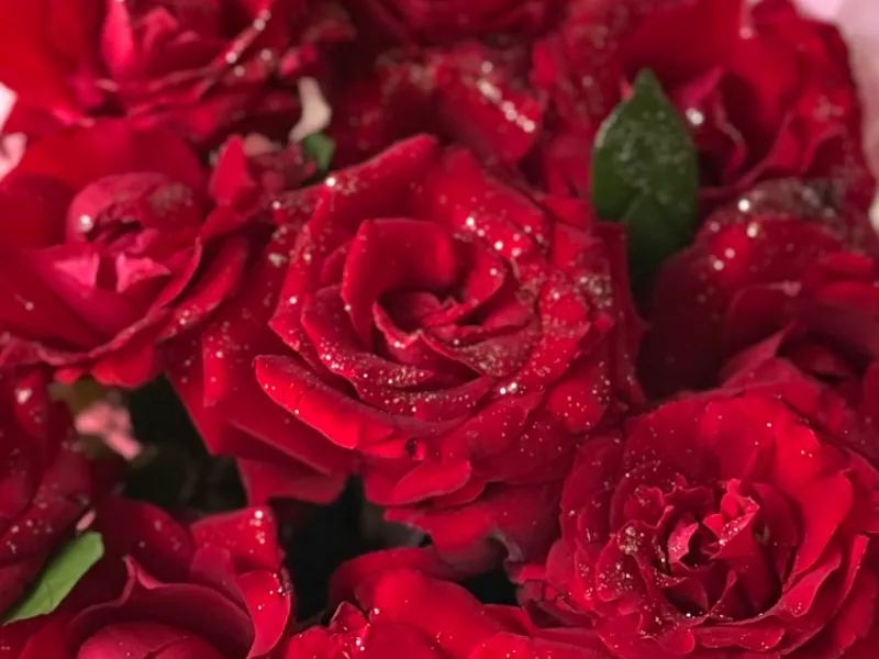  Ramos de Flores  Naturales 🌹