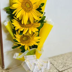 Girasoles 🌻 
